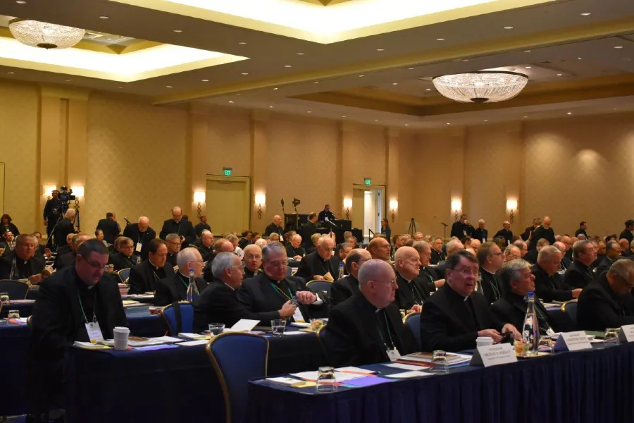U.S. bishops meet at their fall general assembly in Baltimore, Maryland, in November 2019?w=200&h=150